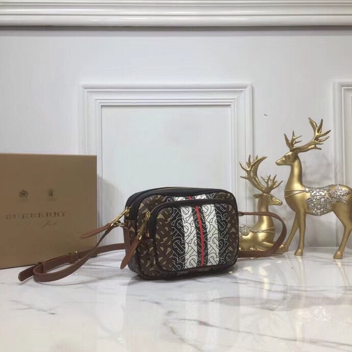 Top Quality Monogram Stripe E-Canvas Camera Bag Bridle Brown For Women, Bags 19.5cm/7.7cm