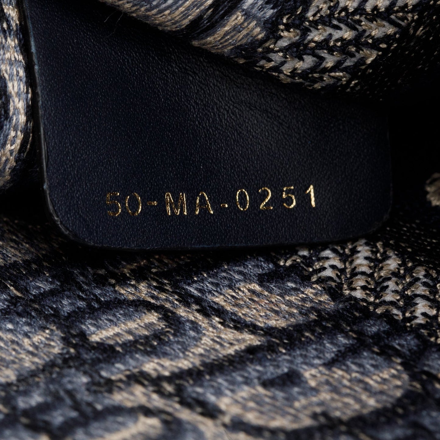 Christian Dior 2021 Blue Canvas Oblique Mini Book Tote