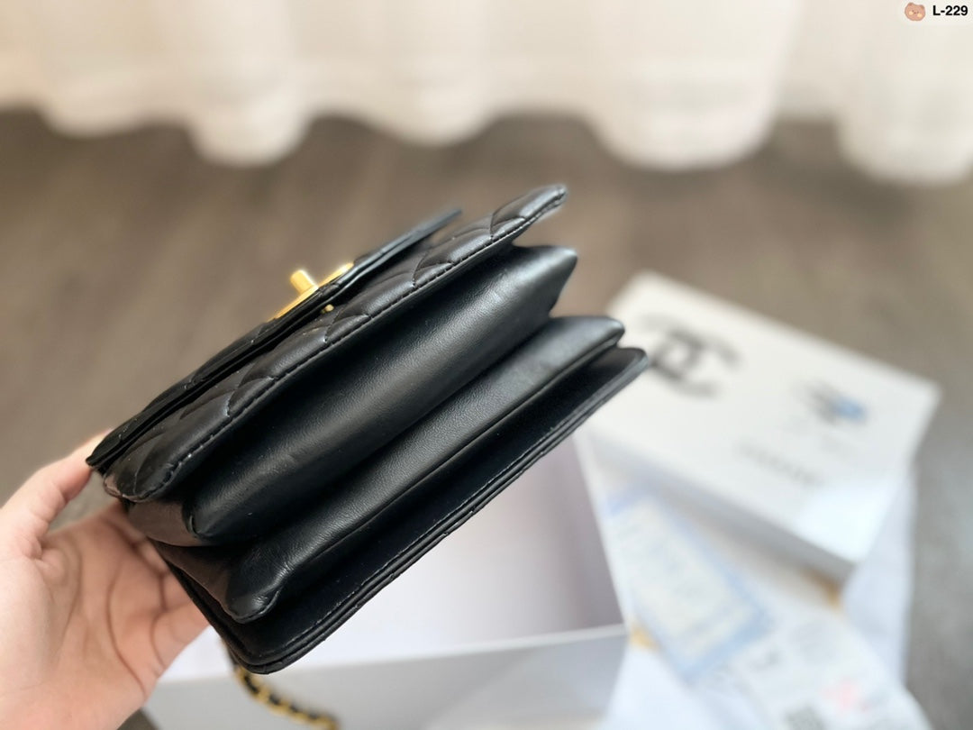 EN - New 1:1 rep  Top Quality CHL Bag 324