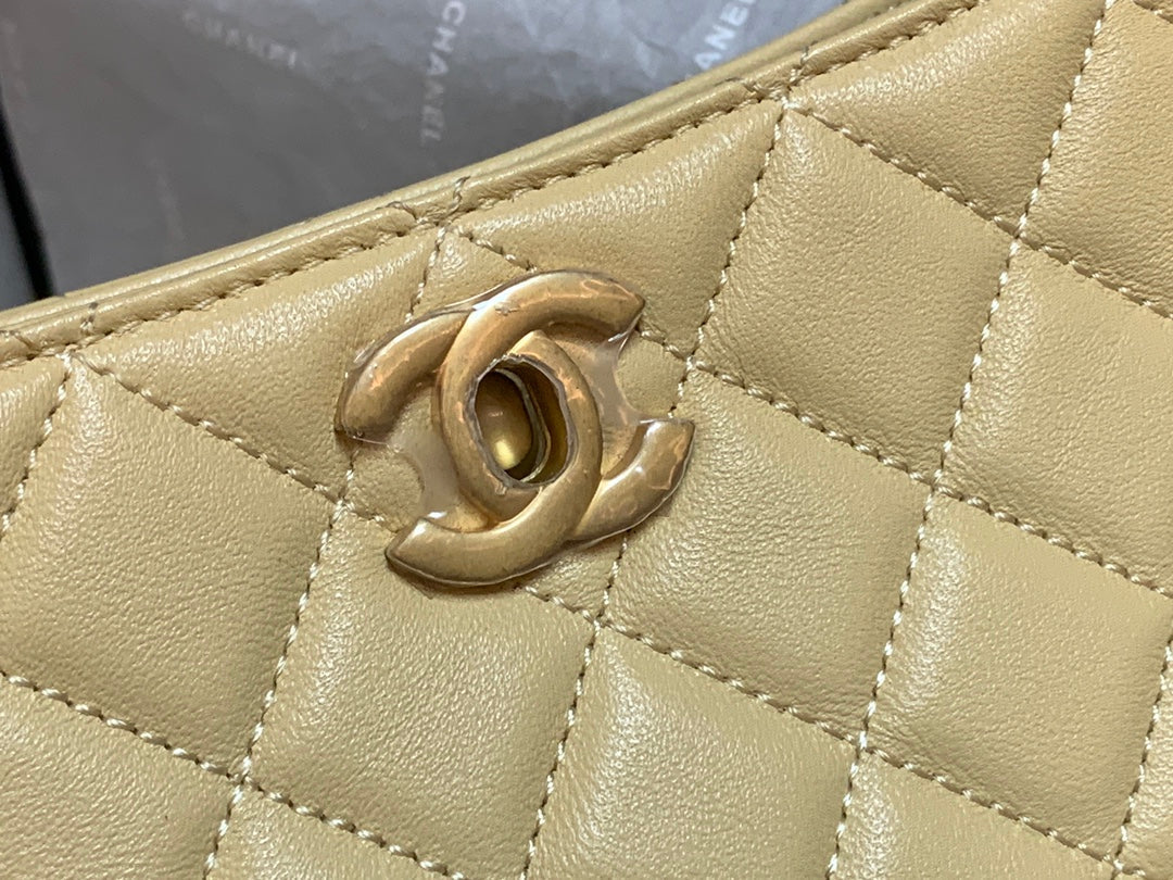 CHLHobo Handbag Beige Bag For Women 16cm/6in