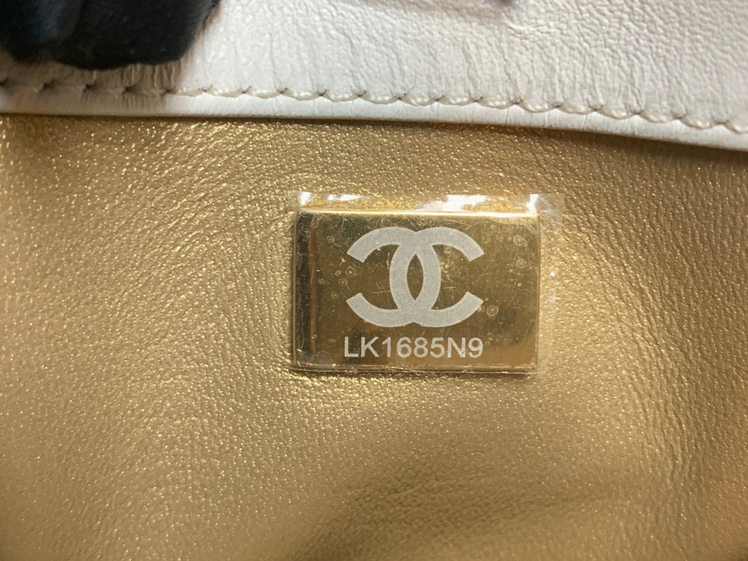 CHLHobo Handbag White Bag For Women 16cm/6in