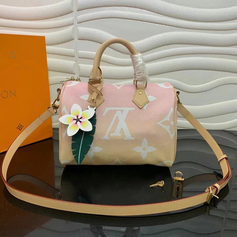 Louis Vuitton Luxury Bags 2524