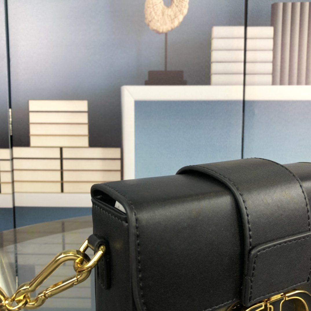 EN - New 1:1 rep  Bags DIR 244