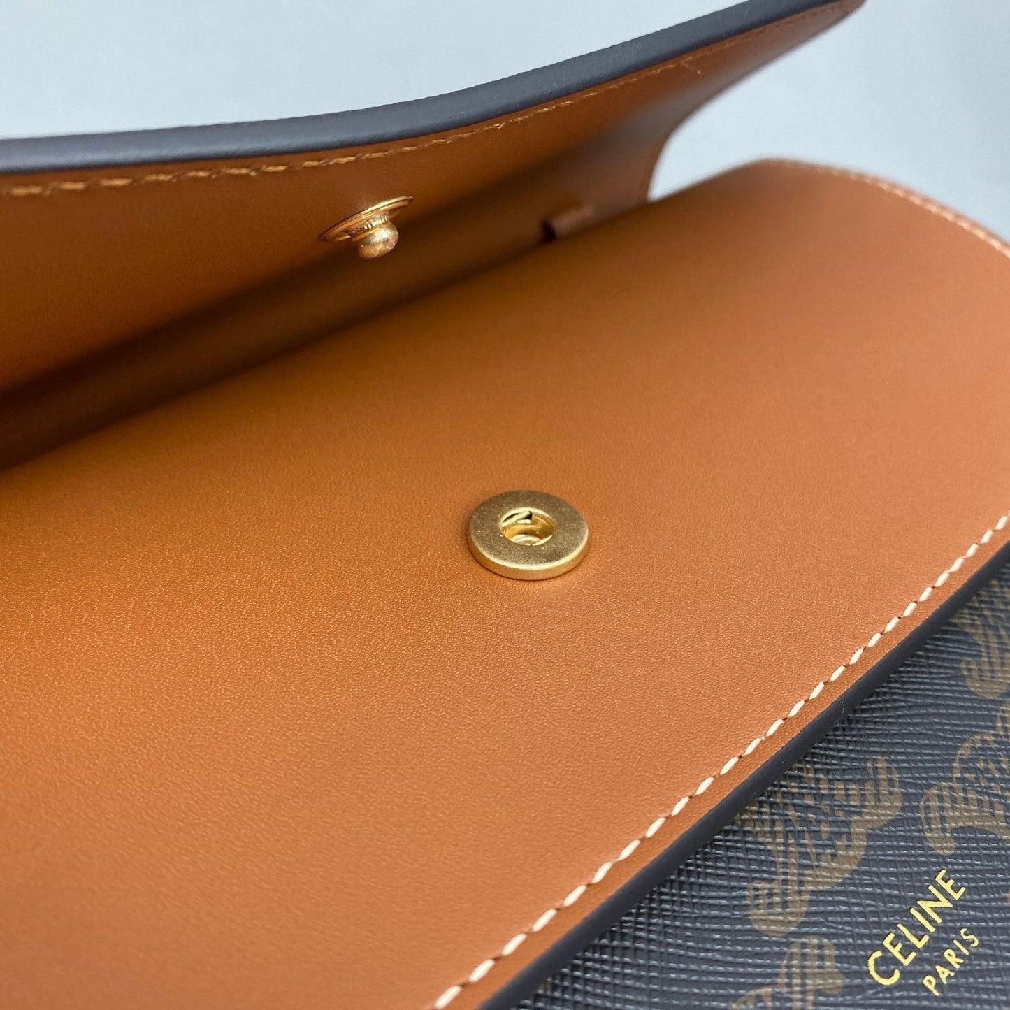 Top Quality Wallet On Strap In Triomphe Canvas Brown For Women 8in/20cm 10D852CG9.04LU