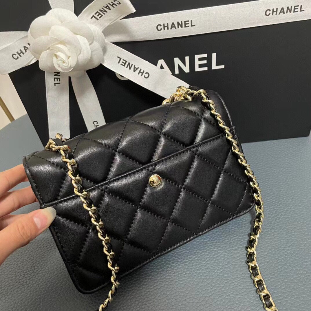 EN - New 1:1 rep  Top Quality CHL Bag 320