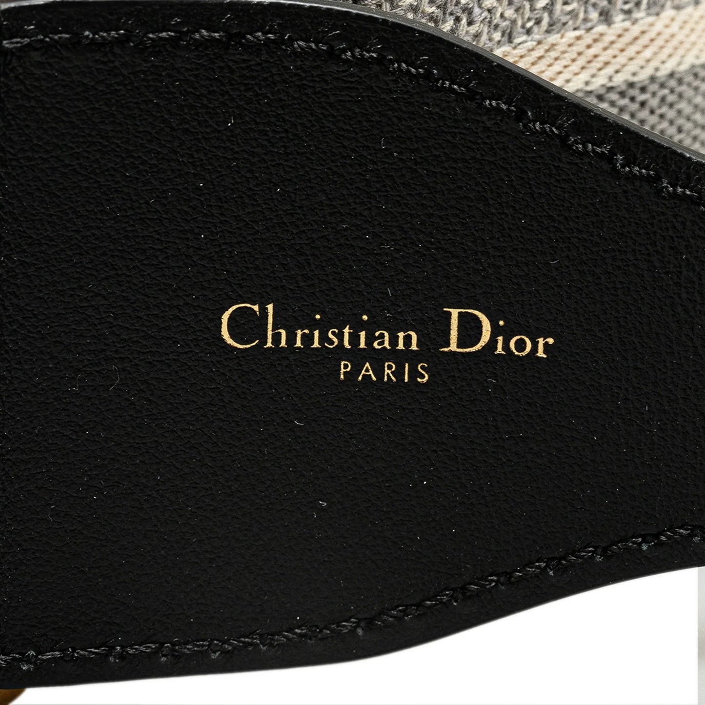 Gray Dior Embroidered Logo Strap