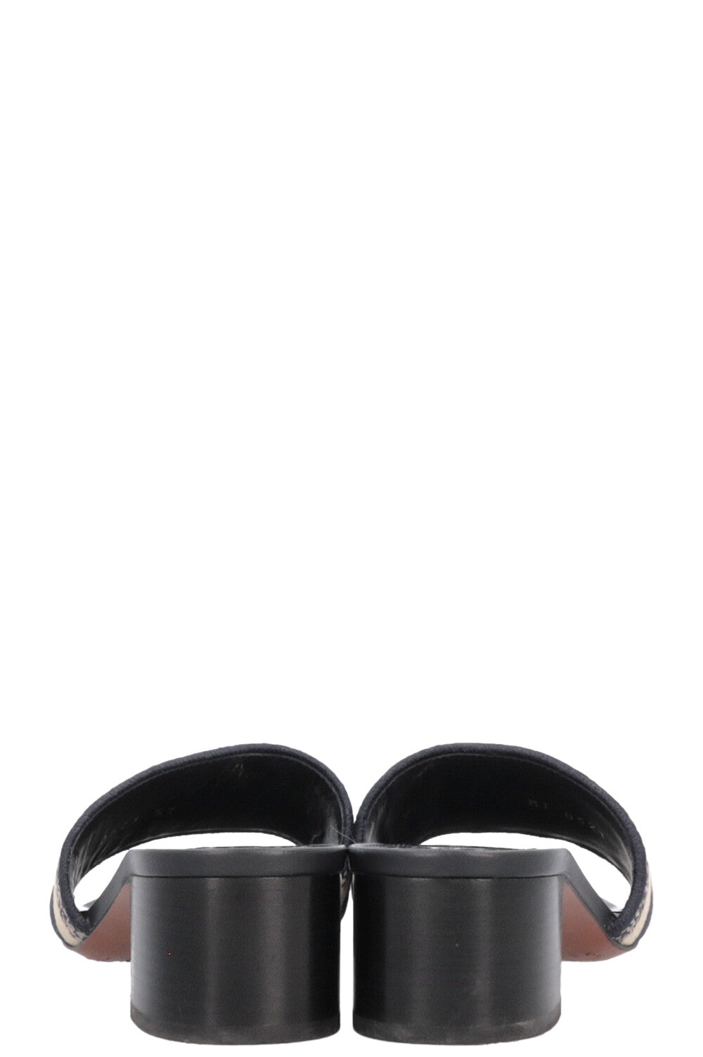 CHRISTIAN DIOR DWay Mules Blue