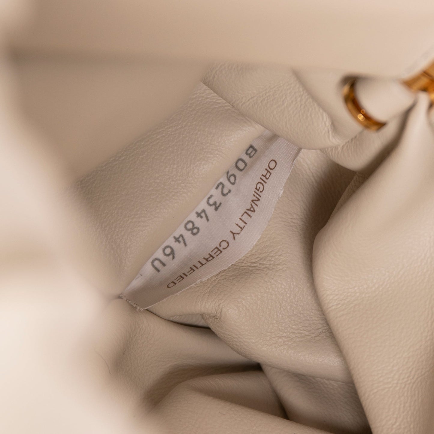 Bottega Veneta The Chain Pouch Bag