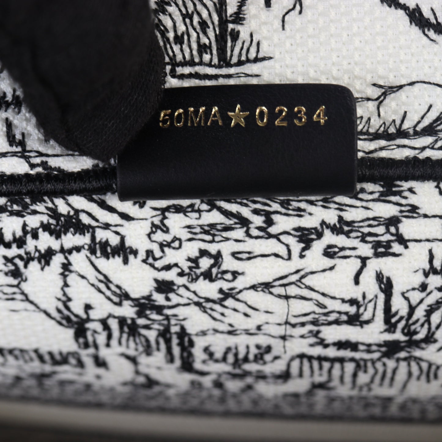 Dior Book Tote Medium Paris All Over