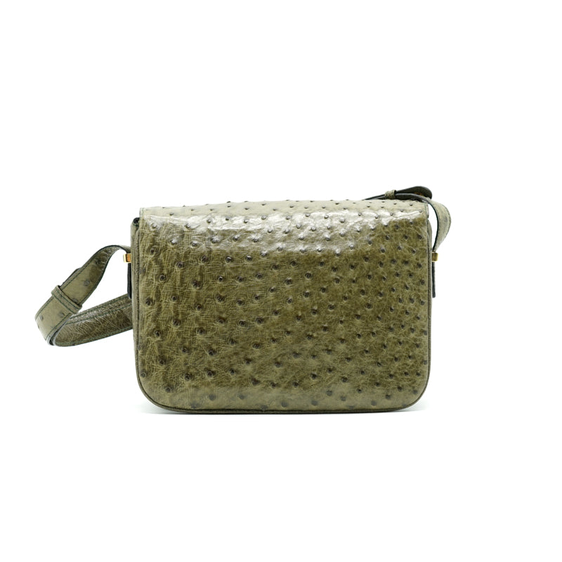 Luxury CELINE   Ostrich Triomphe Bag