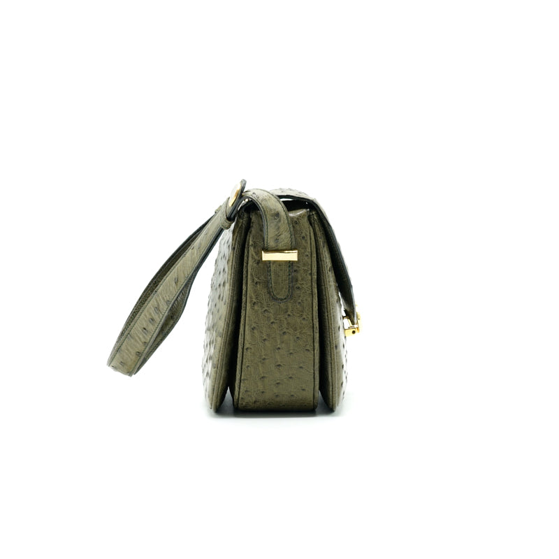 Luxury CELINE   Ostrich Triomphe Bag