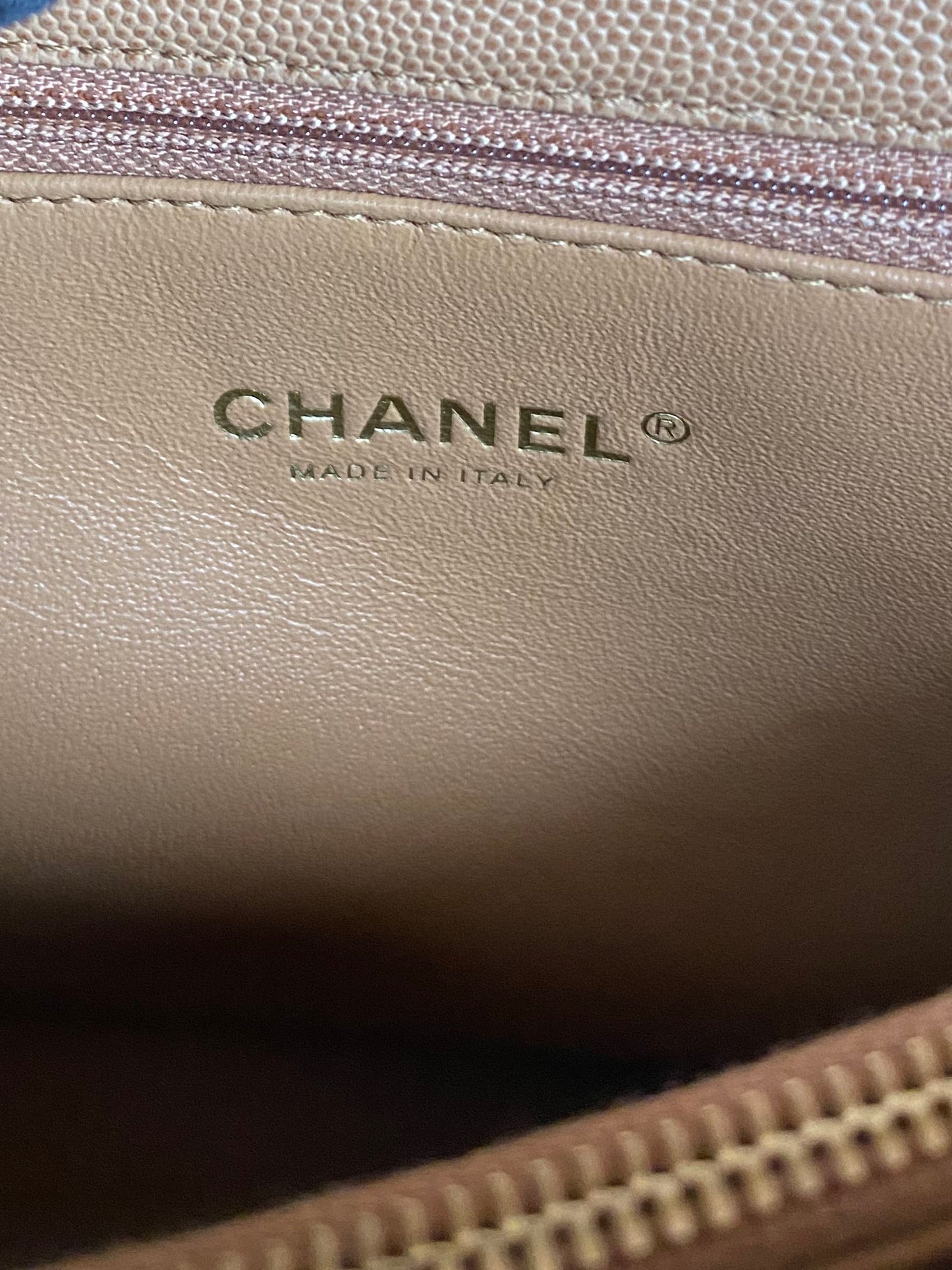 Chanel Large Beige Coco Lizard Handle Bag