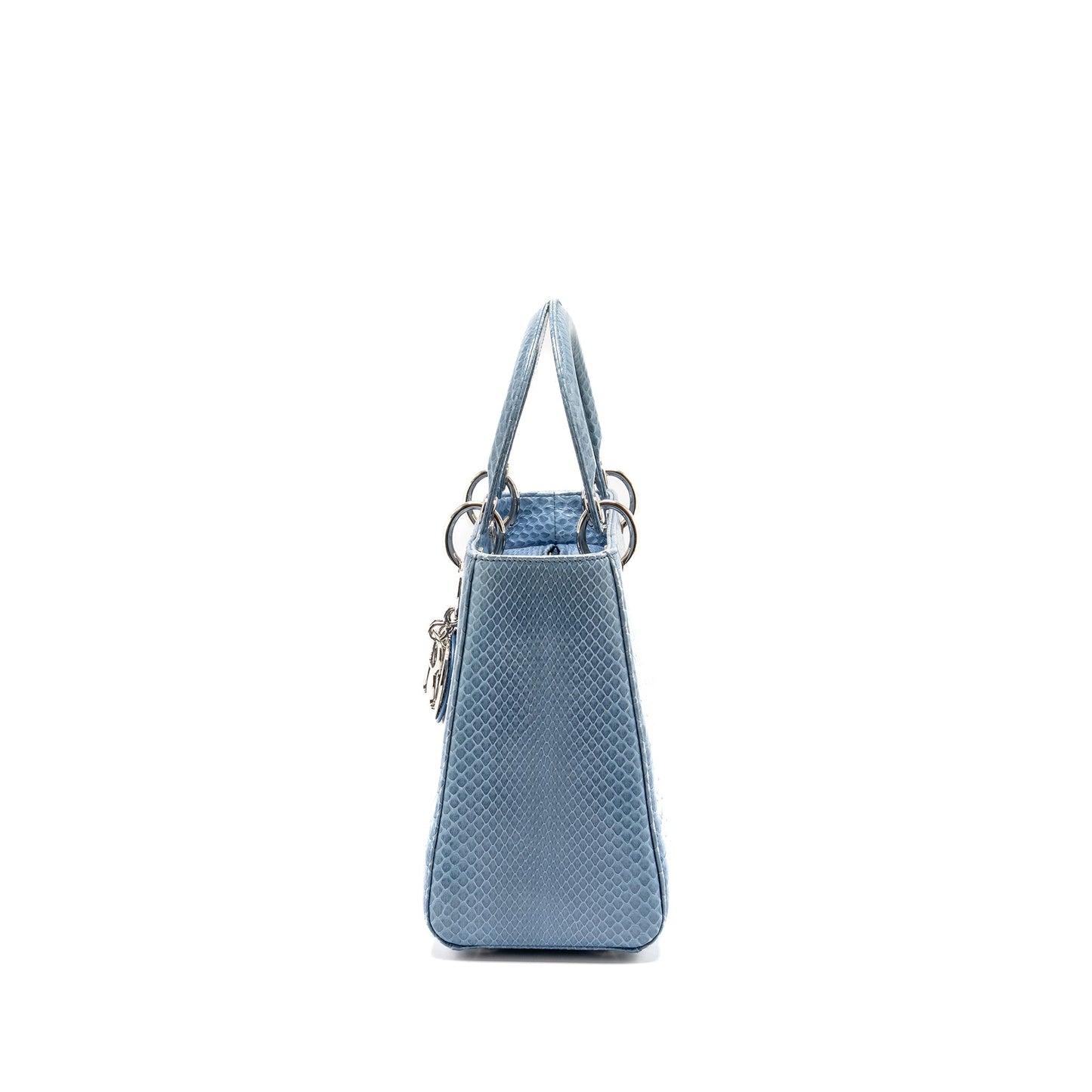 Dior Medium Lady Dior Python Blue