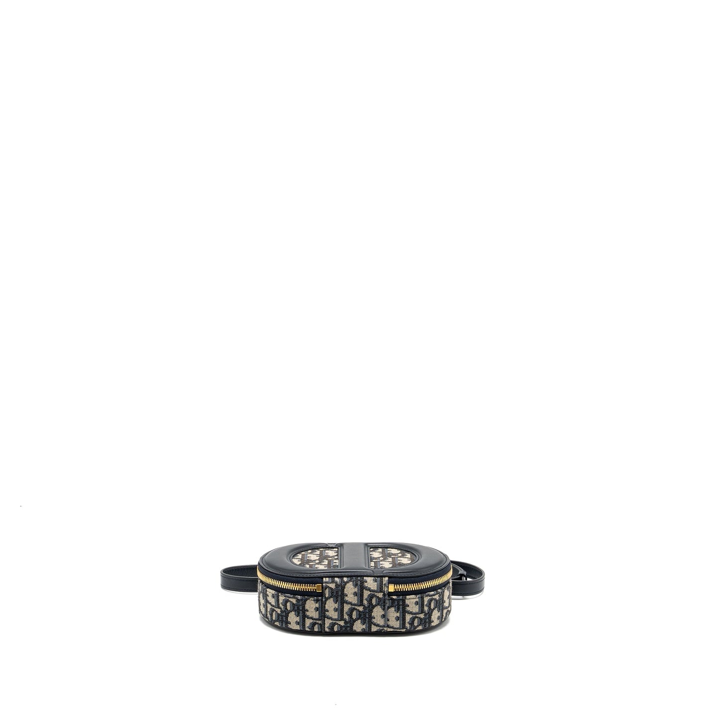 Dior Signature Oval Camera Vag dior oblique jacquard blue