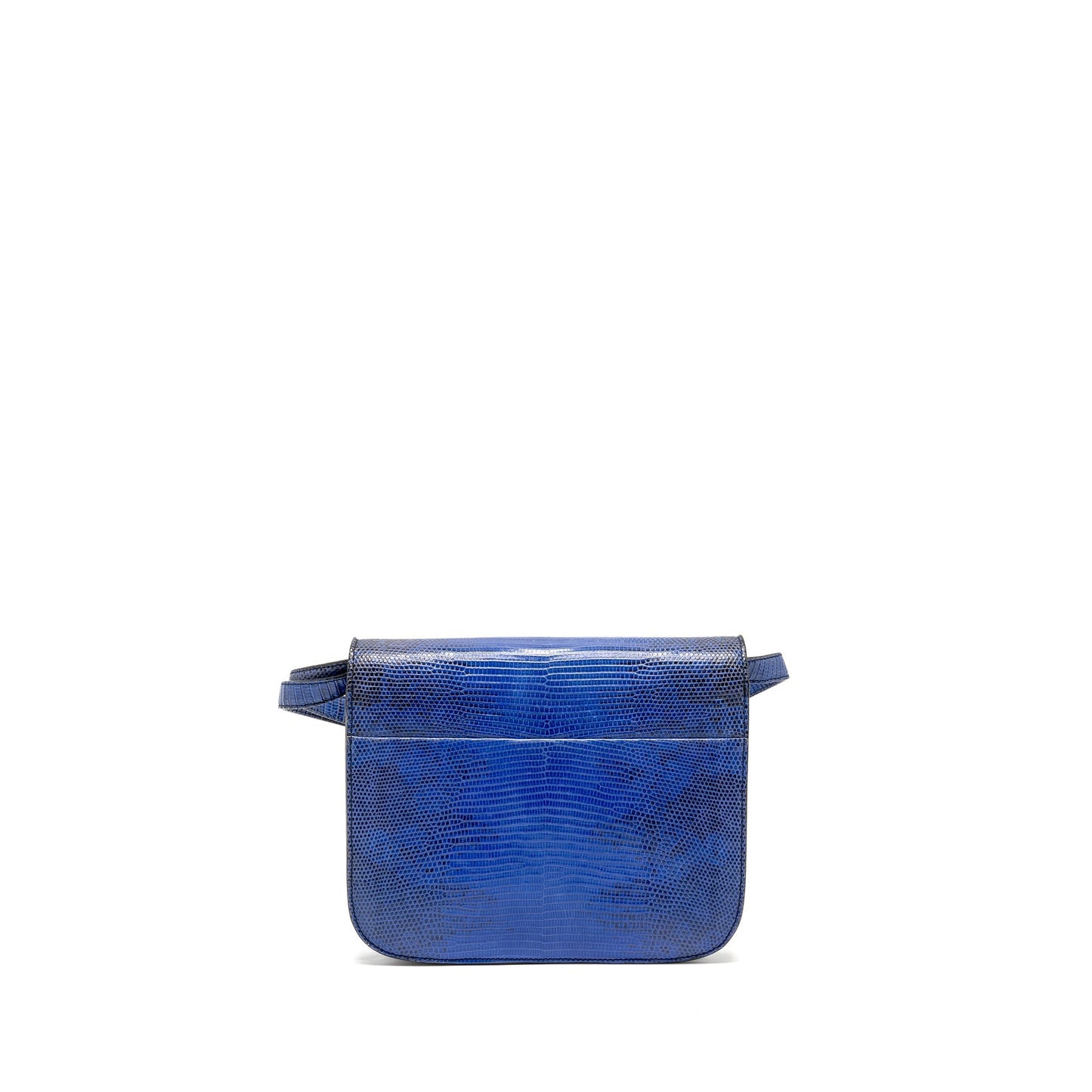 Luxury CELINE Medium Classic Box Bag Lizard Blue GHW
