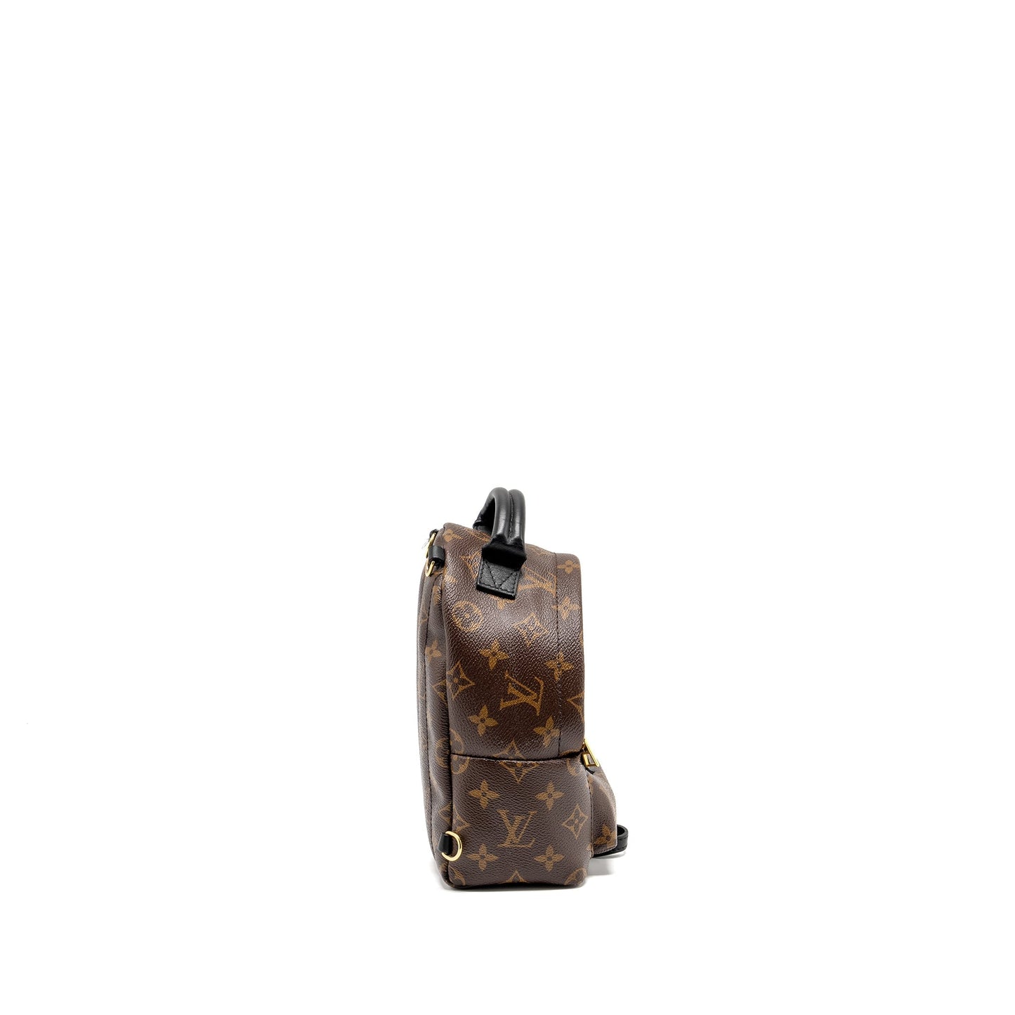 Louis Vuitton Mini Palm Spring Backpack Monogram Canvas GHW