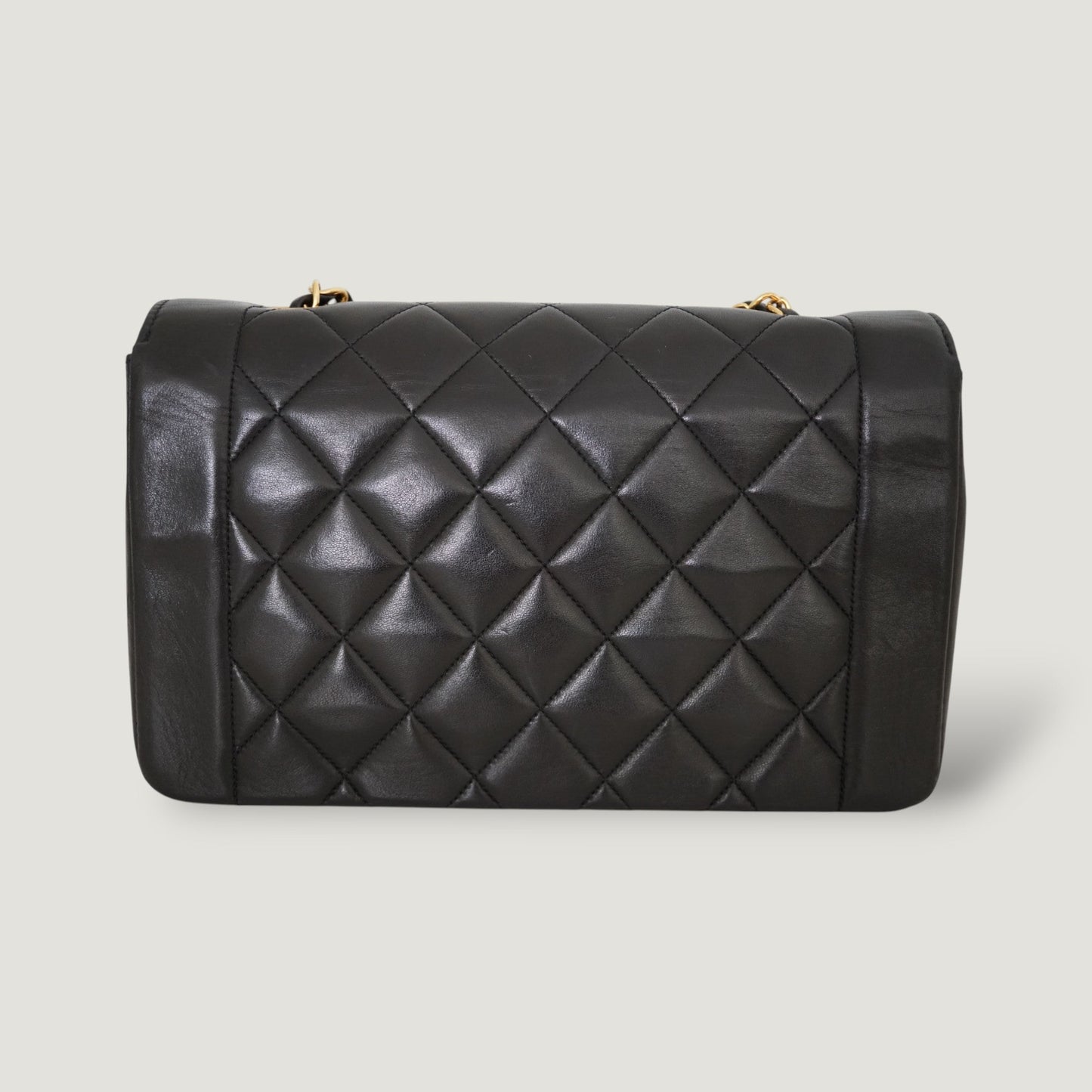 CHANEL DIANA MEDIUM BAG