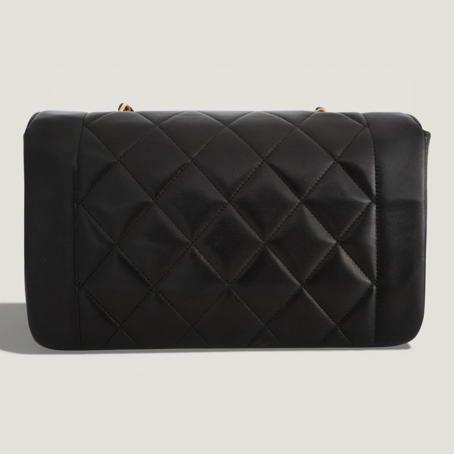 CHANEL DIANA SMALL BAG