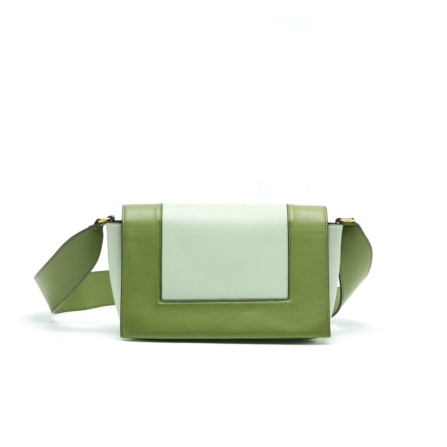 Celine Frame Purse Mini Purse Green