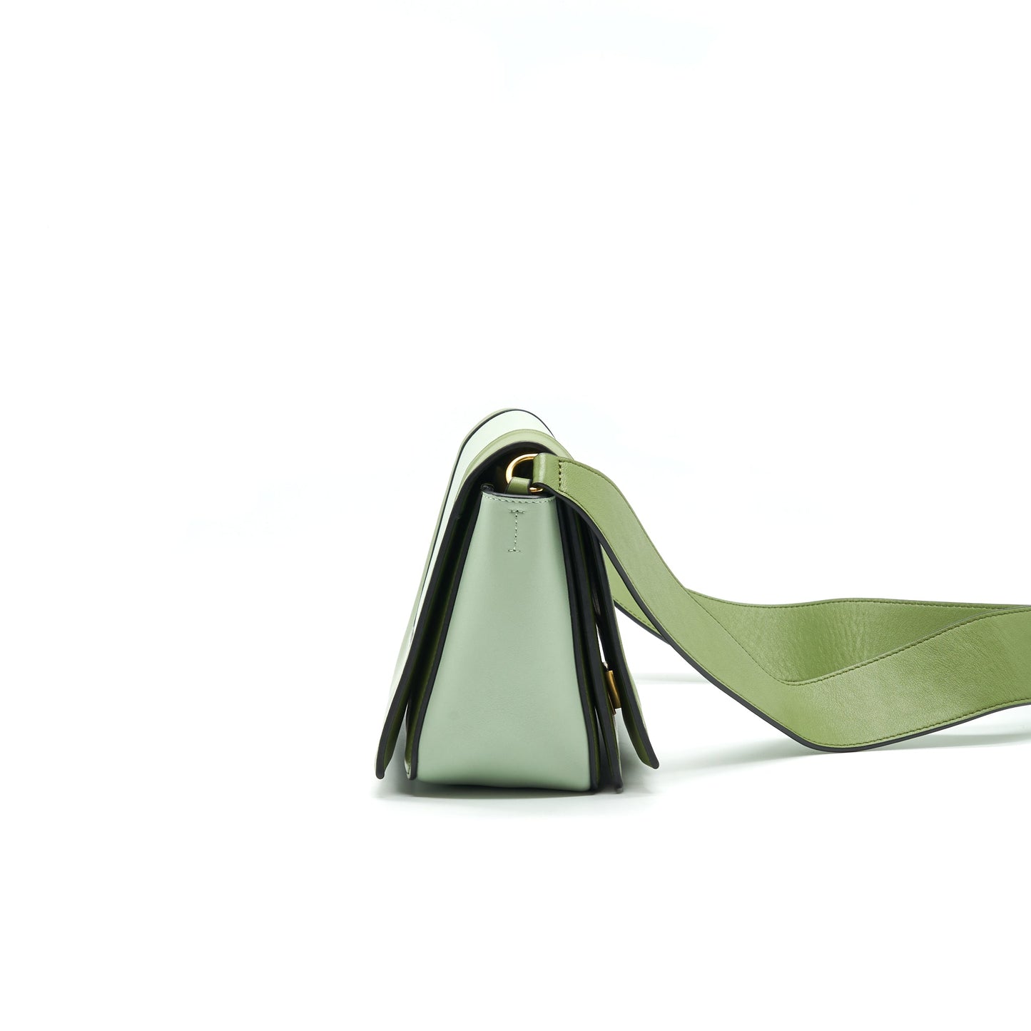 Celine Frame Purse Mini Purse Green
