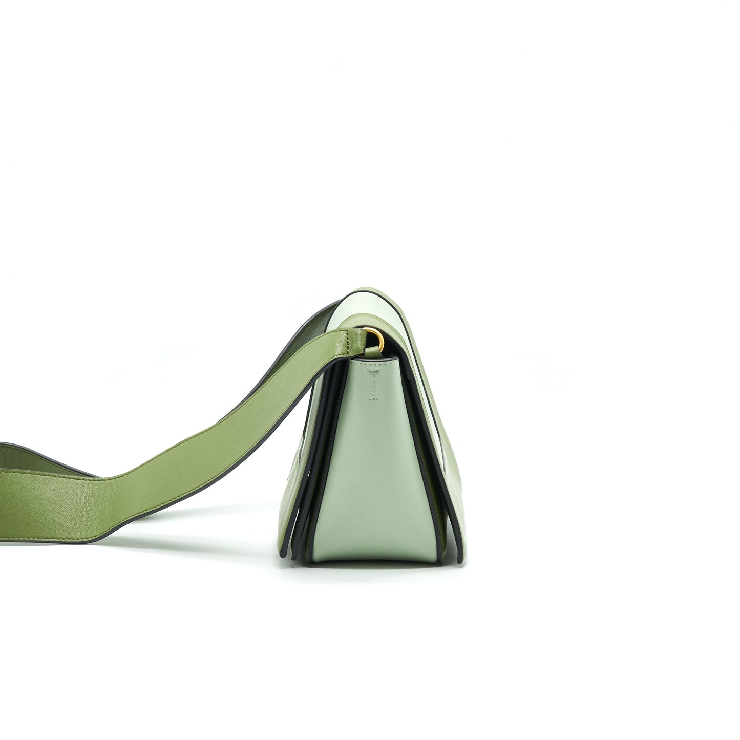 Celine Frame Purse Mini Purse Green