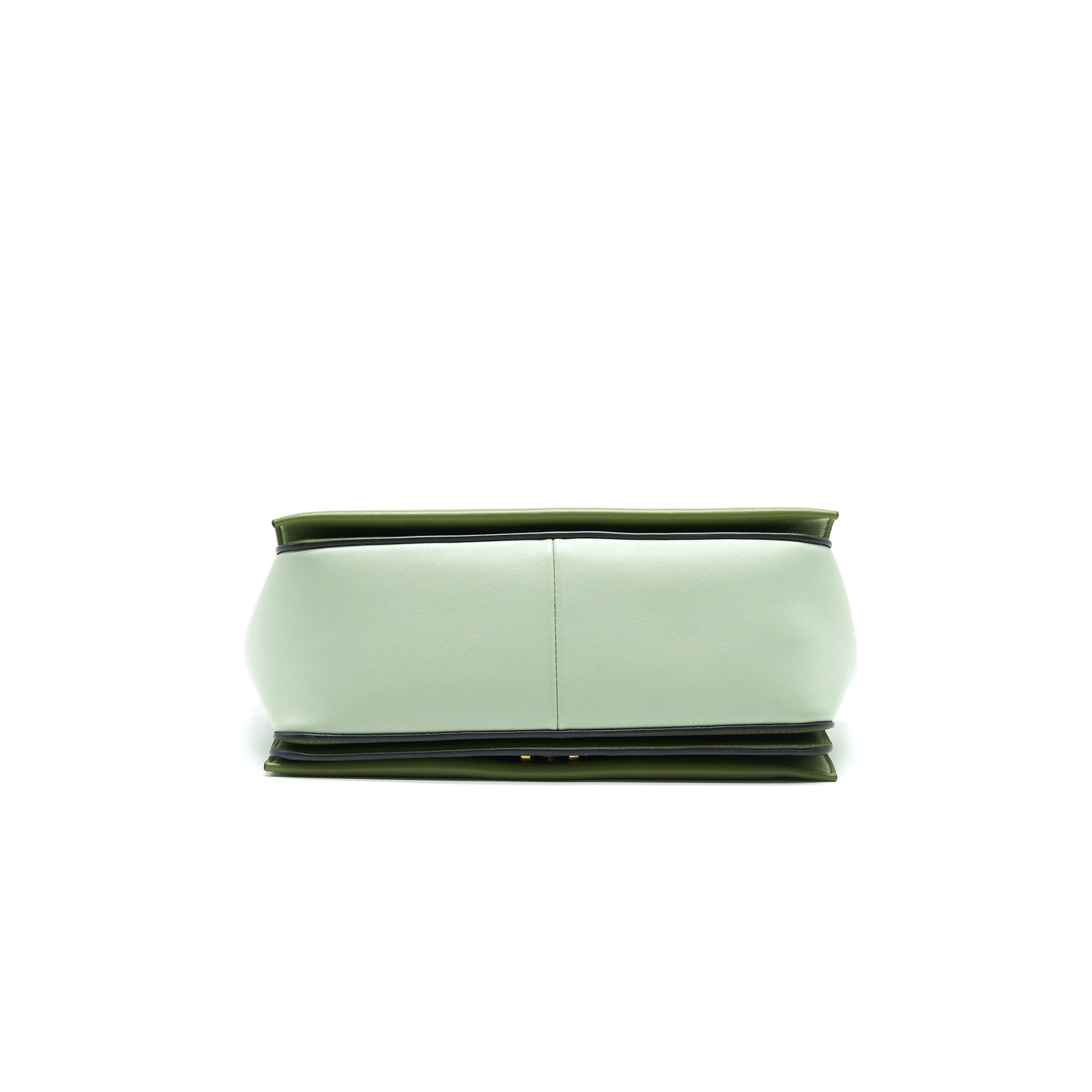 Celine Frame Purse Mini Purse Green