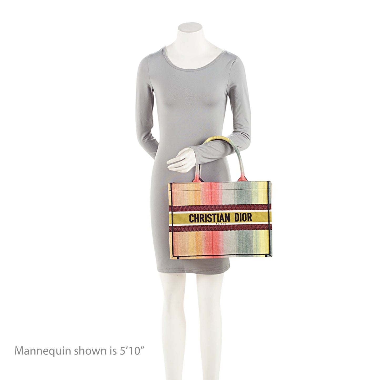 Dior Canvas Dioraura Small Book Tote