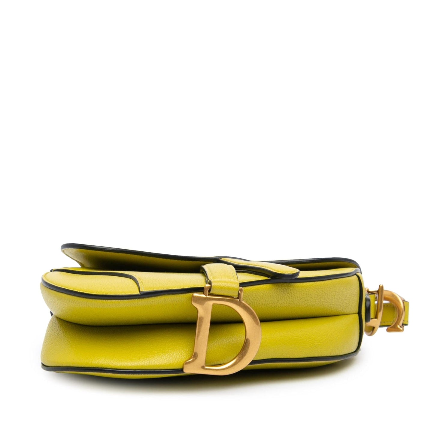 Dior Mini Leather Saddle