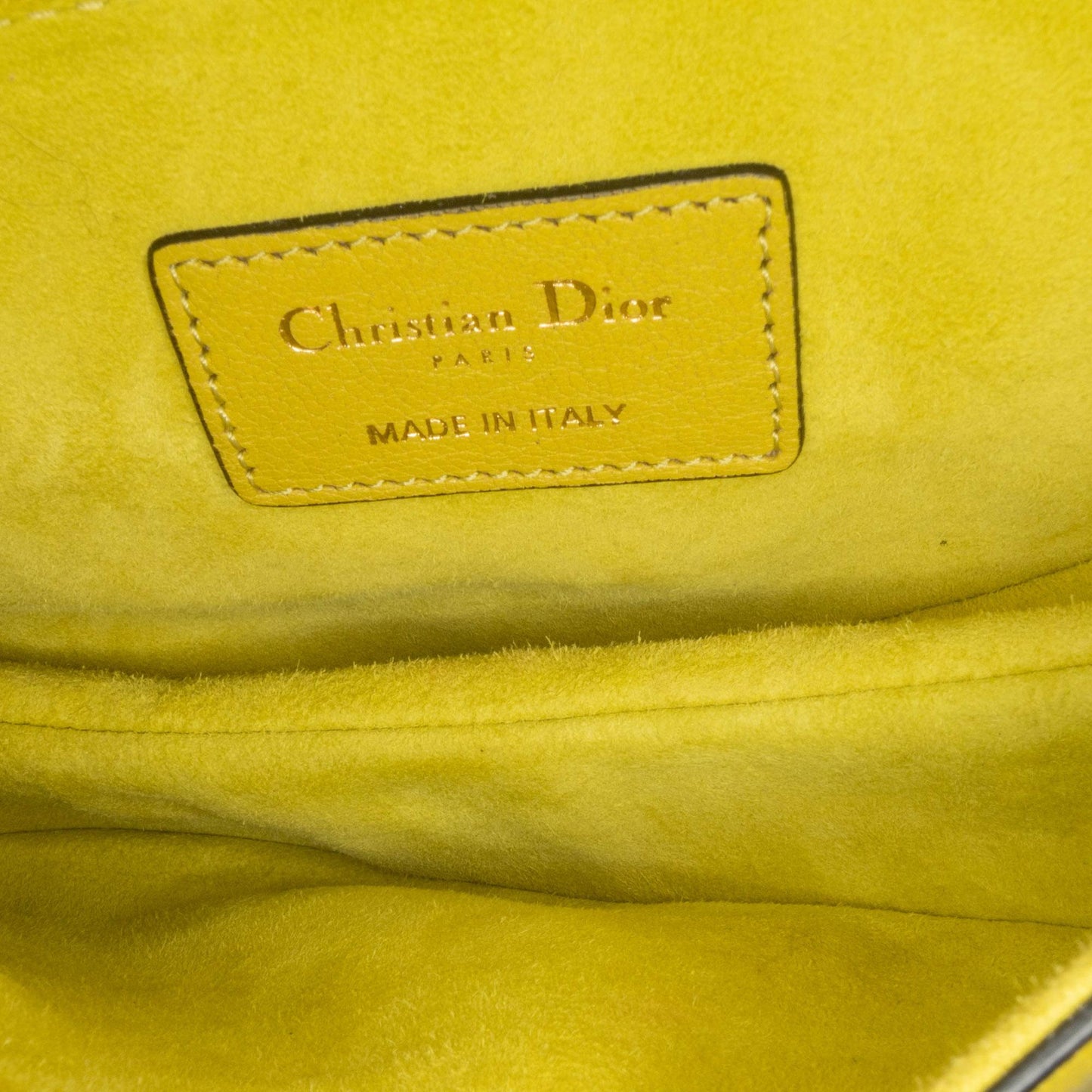 Dior Mini Leather Saddle