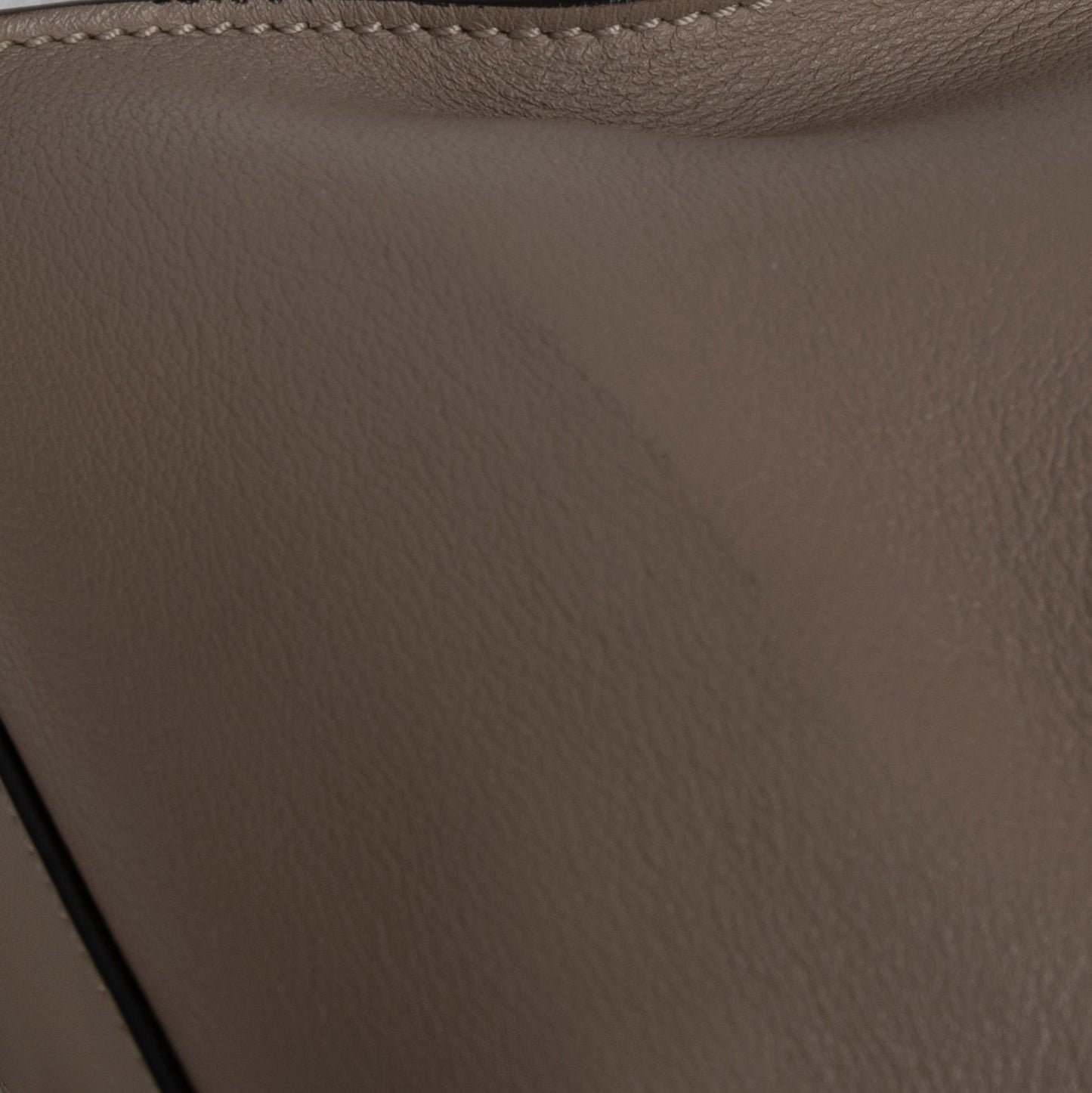 Fendi Medium Peekaboo Bag with Tortoise Detail