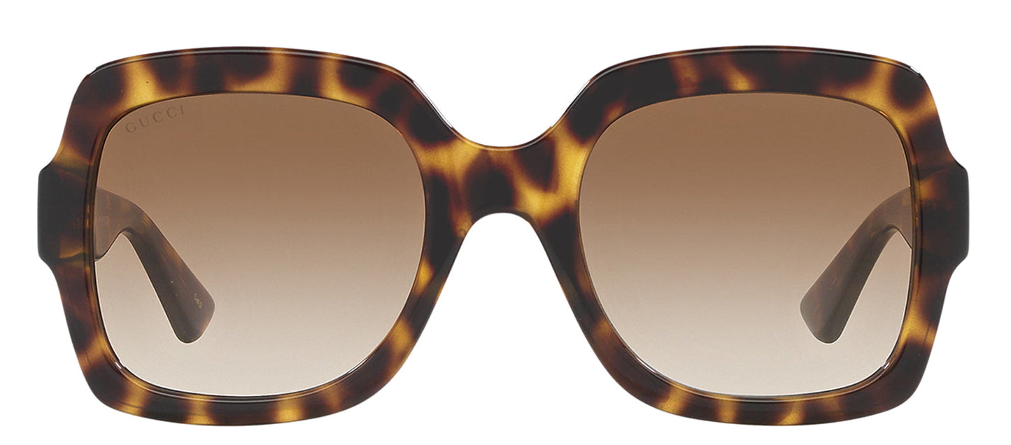 Gucci GG 1337S 003 Square Plastic Havana Sunglasses with Brown Gradient Lens