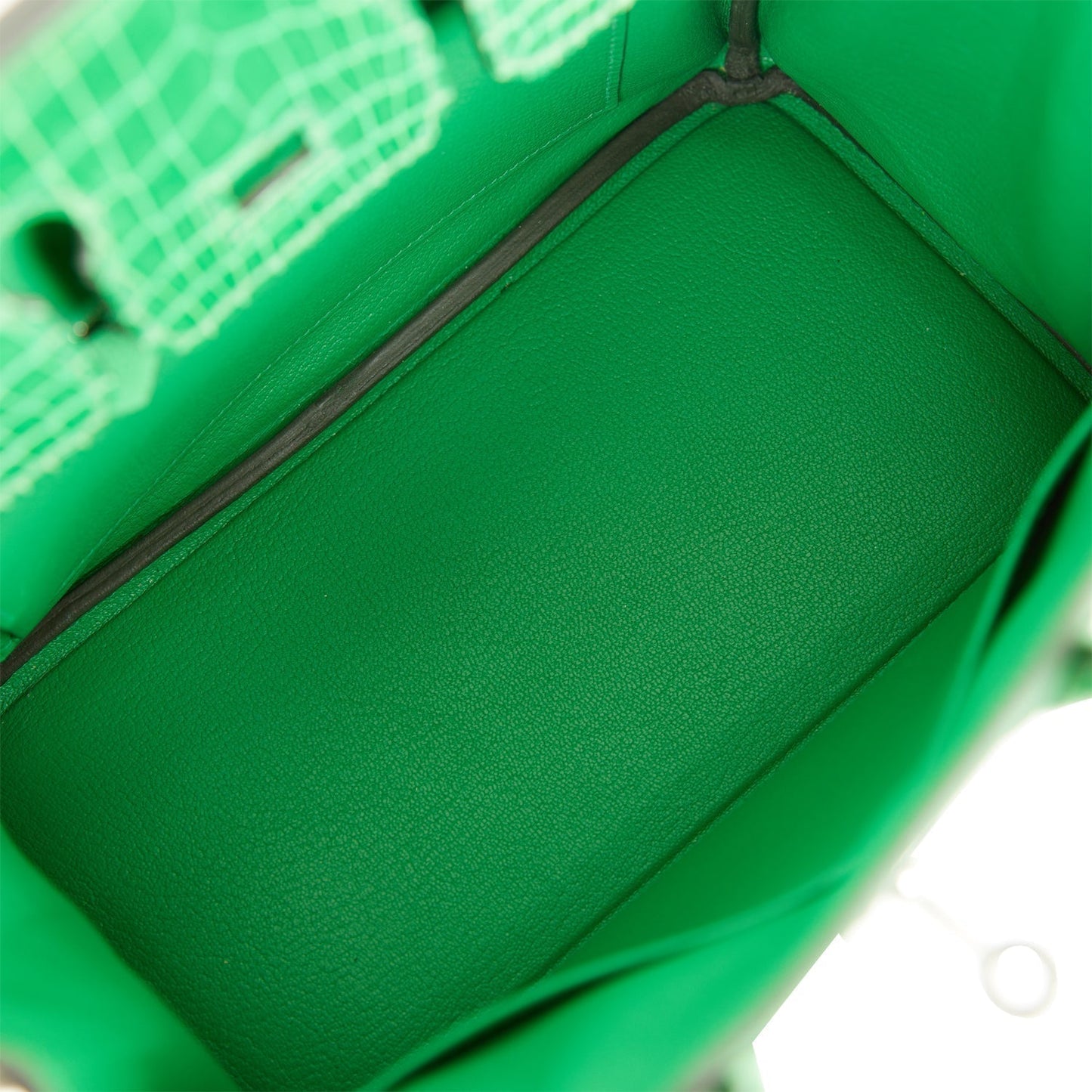 Hermes Birkin 25 Bambou Shiny Crocodile and Togo Touch Palladium Hardware