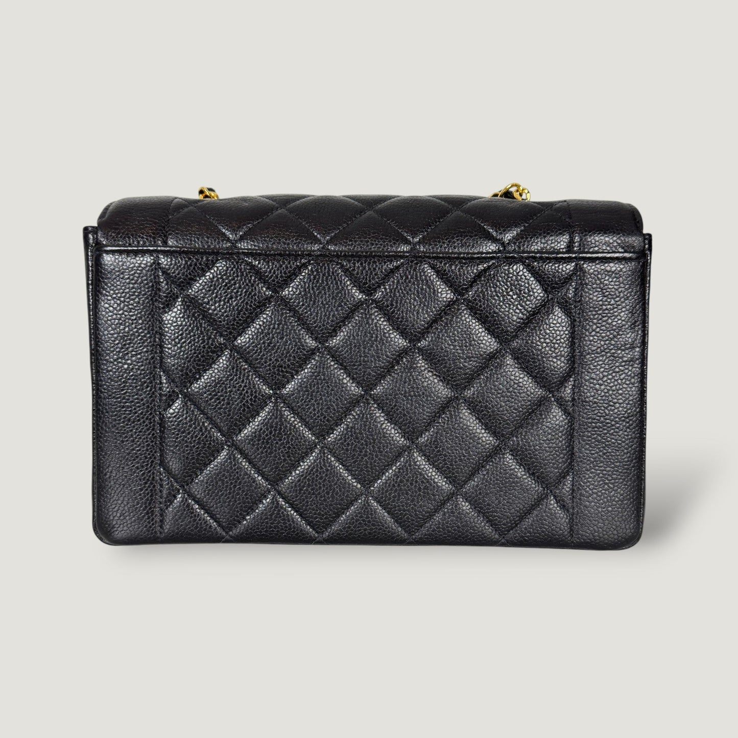 CHANEL DIANA MEDIUM SQUARE BAG