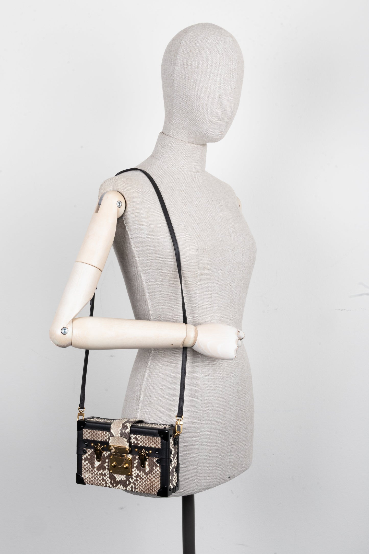 LOUIS VUITTON Petite Malle Python