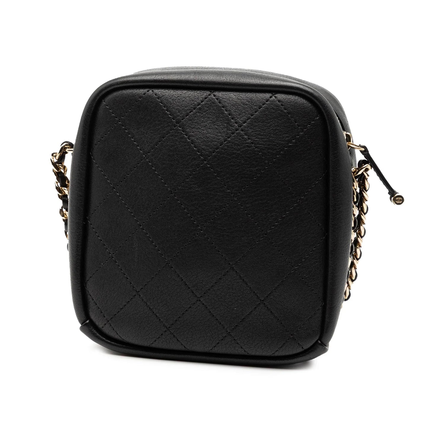 Black Chanel Stitched Goatskin Casual Trip North South Camera Case Crossbody Bag
