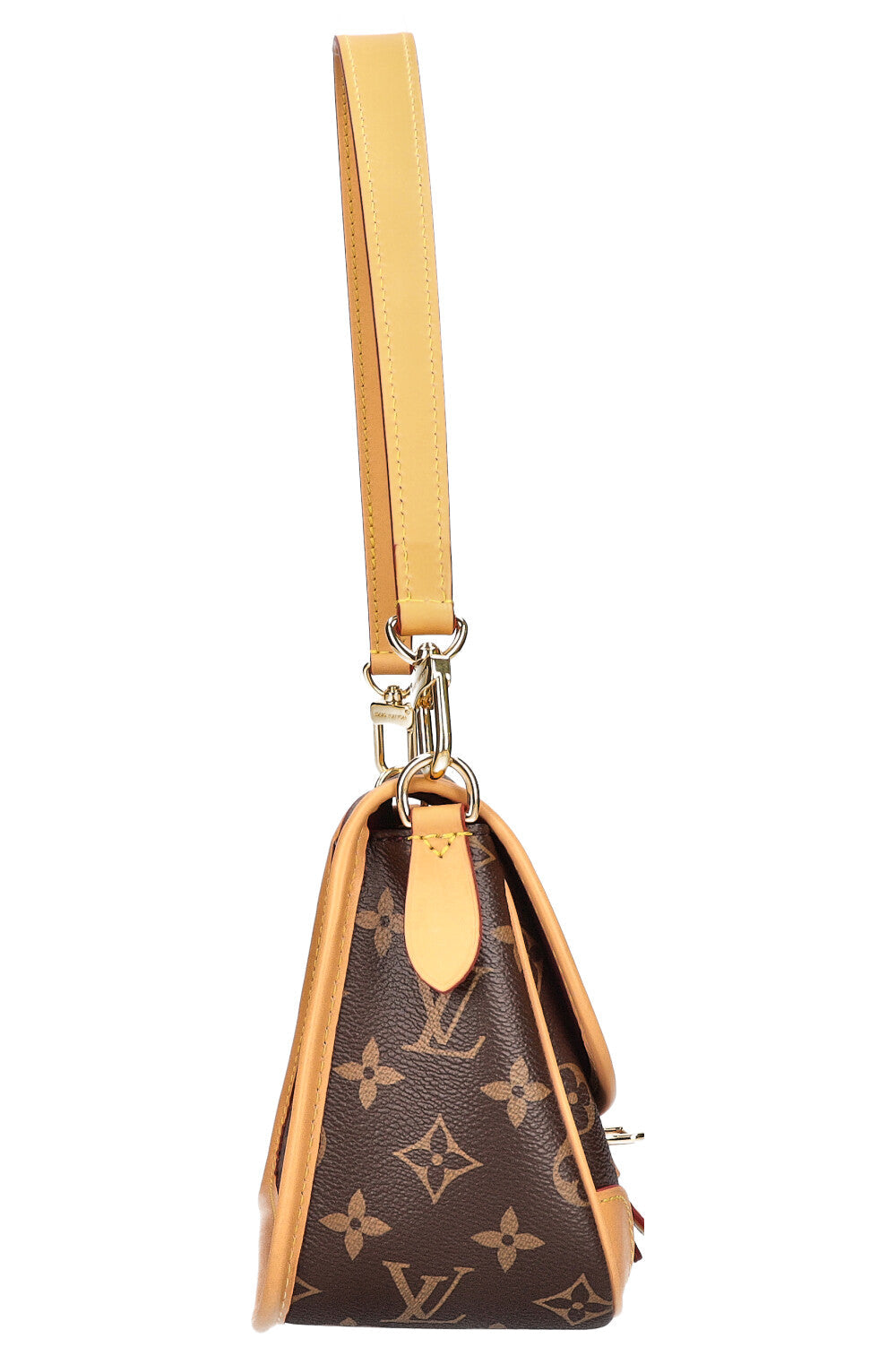 LOUIS VUITTON Diane NM Monogram Bag