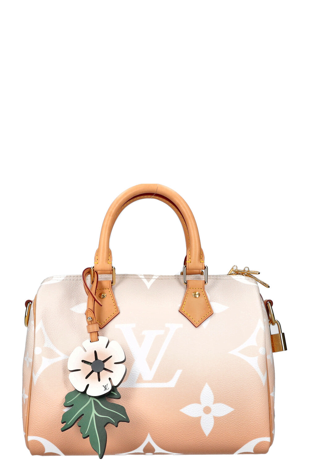 LOUIS VUITTON Speedy 25 By The Pool Rose
