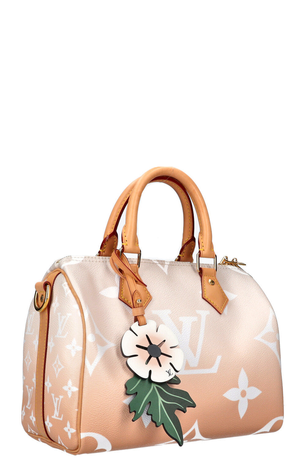 LOUIS VUITTON Speedy 25 By The Pool Rose