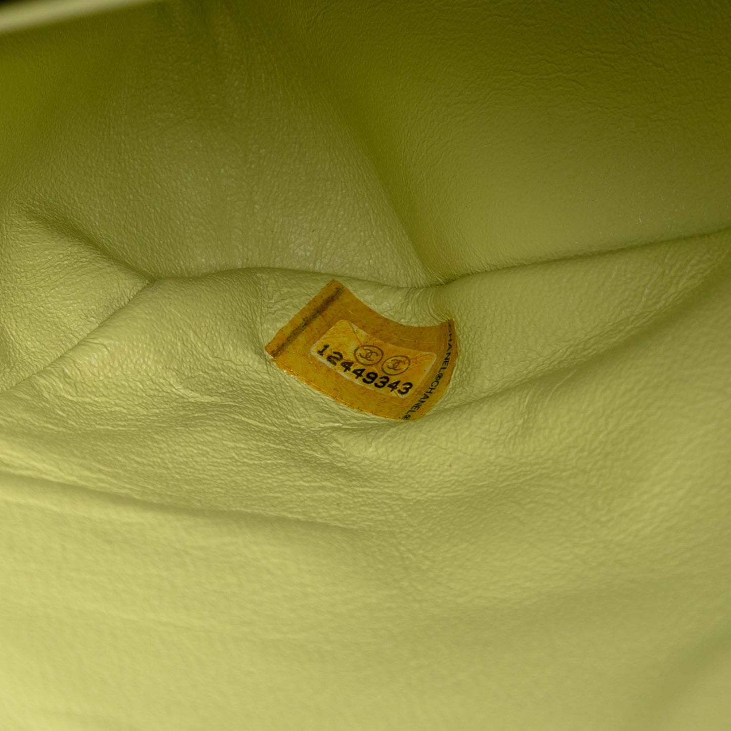 Pastel Green Chanel Medium Classic Lambskin Double Flap Shoulder Bag