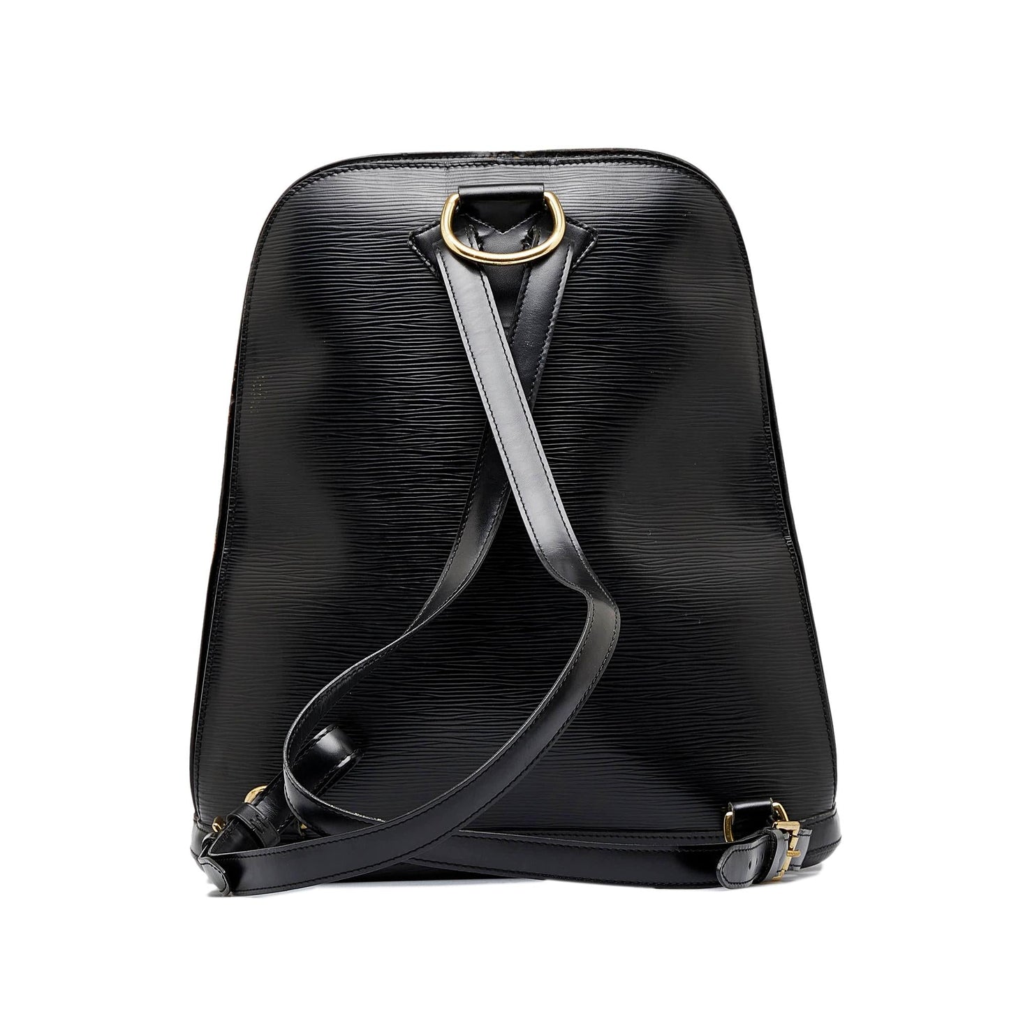 Louis Vuitton Epi Gobelins