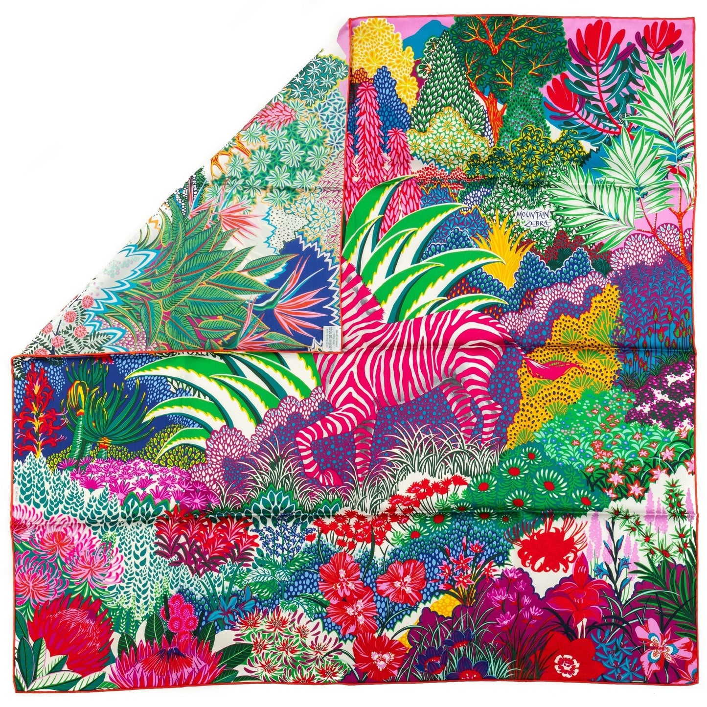 Hermes Mountain Zebra Multicolor Scarf