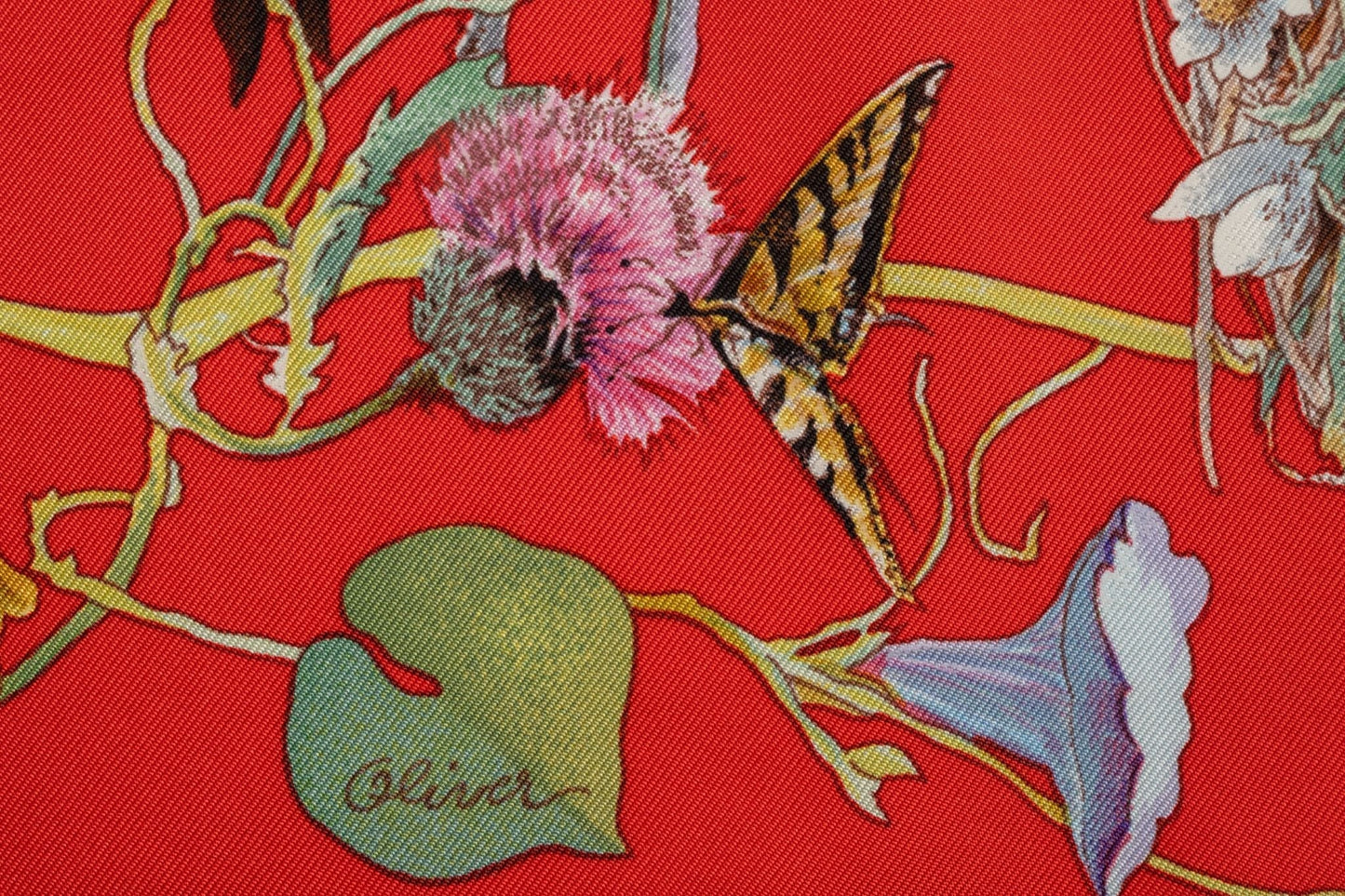 Hermes Faune et Flora du Texas Scarf