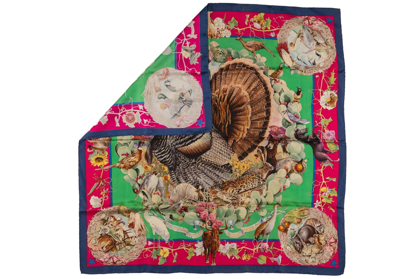 Hermes "Faune et Flore du Texas" Scarf