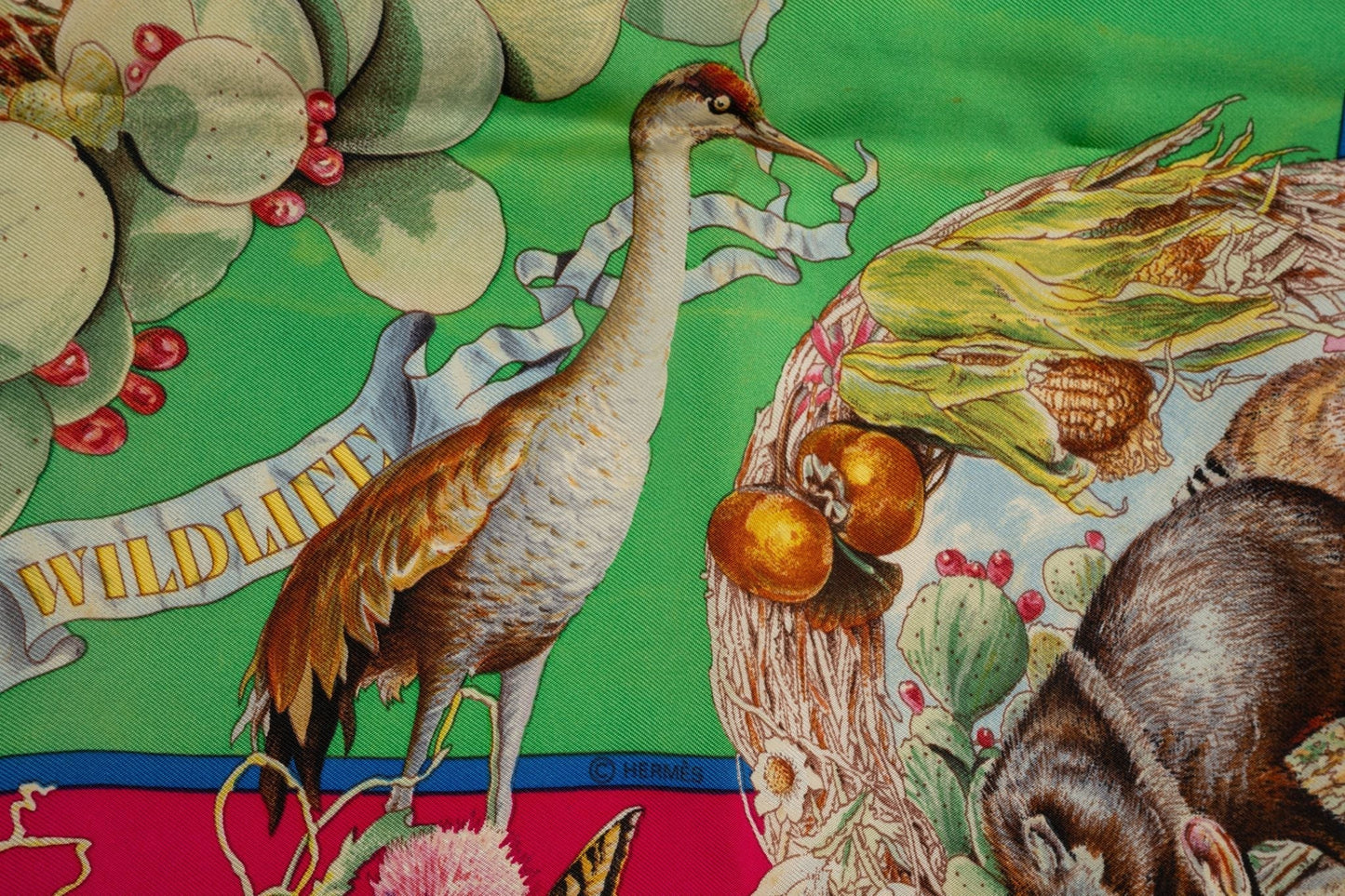 Hermes "Faune et Flore du Texas" Scarf