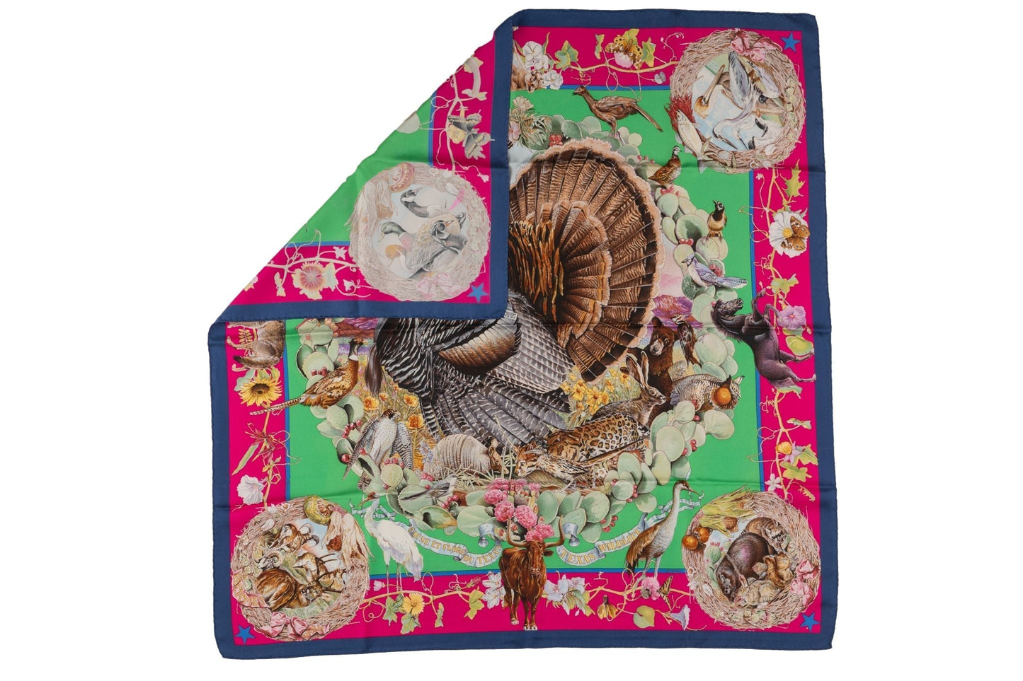 Hermes "Faune et Flore du Texas" Scarf