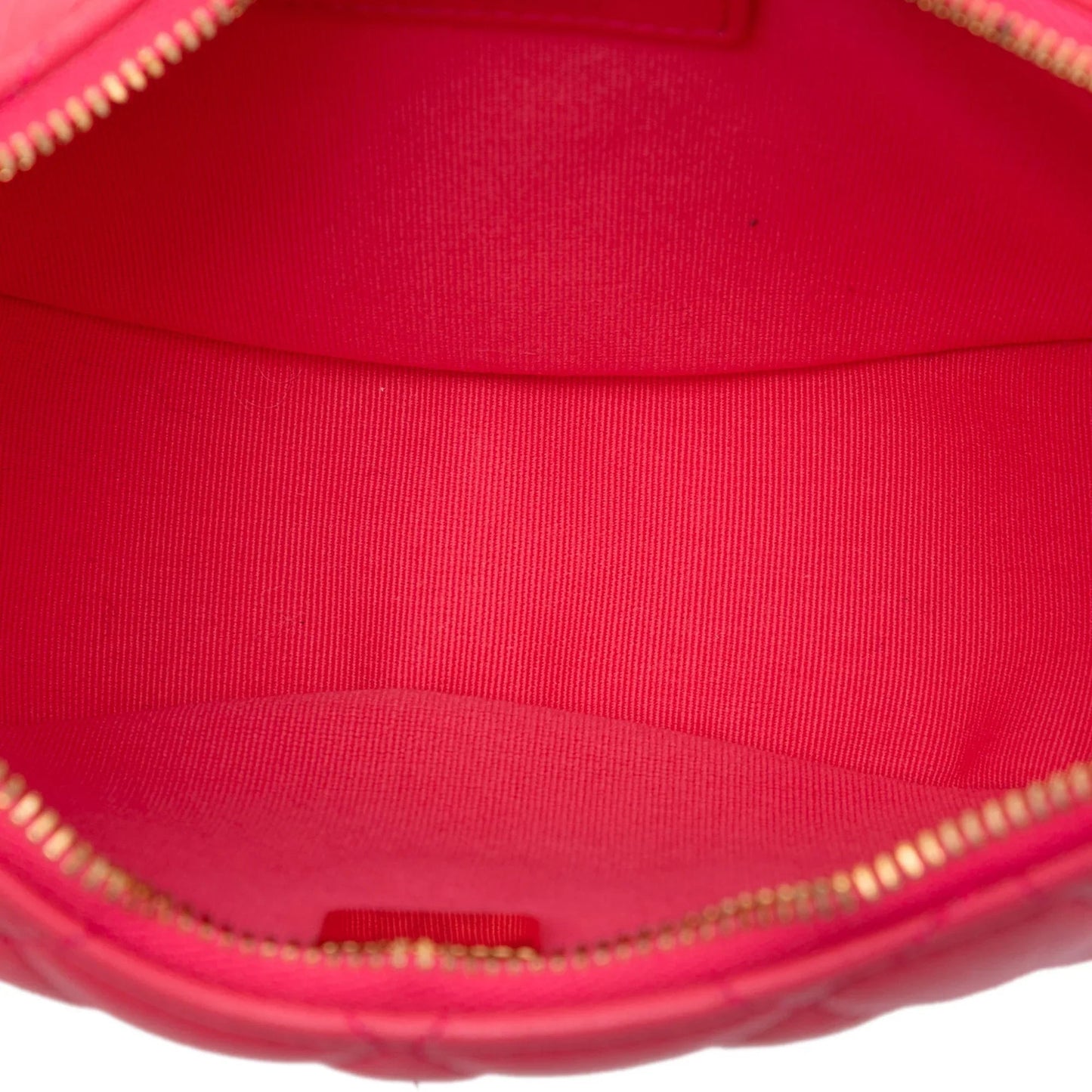 Pink Chanel Small Quilted Lambskin Chain Around Hook Hobo Bag
