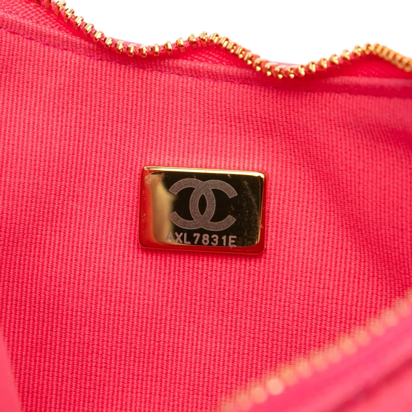 Pink Chanel Small Quilted Lambskin Chain Around Hook Hobo Bag