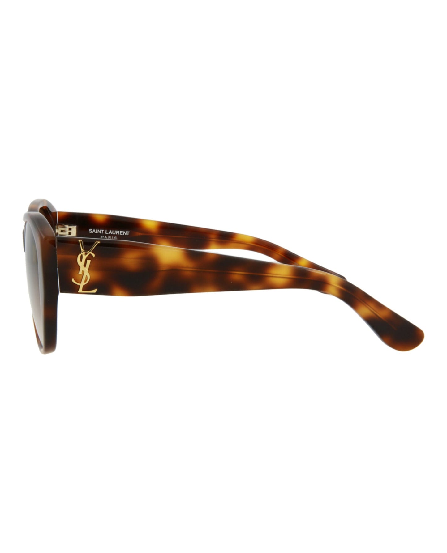 Saint Laurent Womens Round/Oval Avana Avana Brown Fashion Designer Eyewear