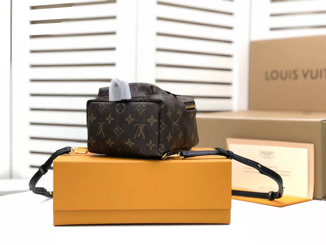 Top Quality Palm Springs Mini Monogram Canvas For Women, Womens Handbags, WoBackpack 6.7in/17cm Top Quality M44873