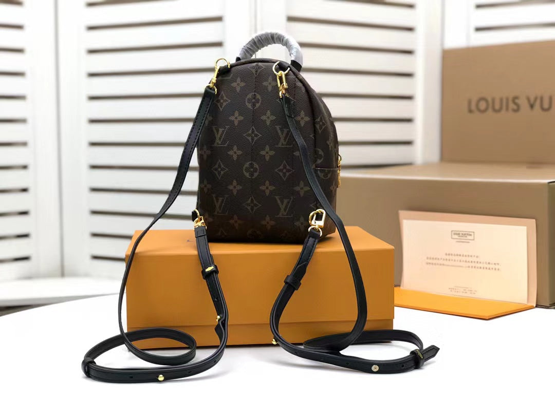 Top Quality Palm Springs Mini Monogram Canvas For Women, Womens Handbags, WoBackpack 6.7in/17cm Top Quality M44873